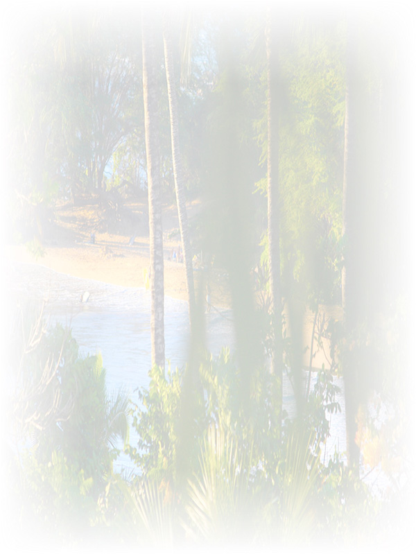 Law of Attraction Card - Image 3
