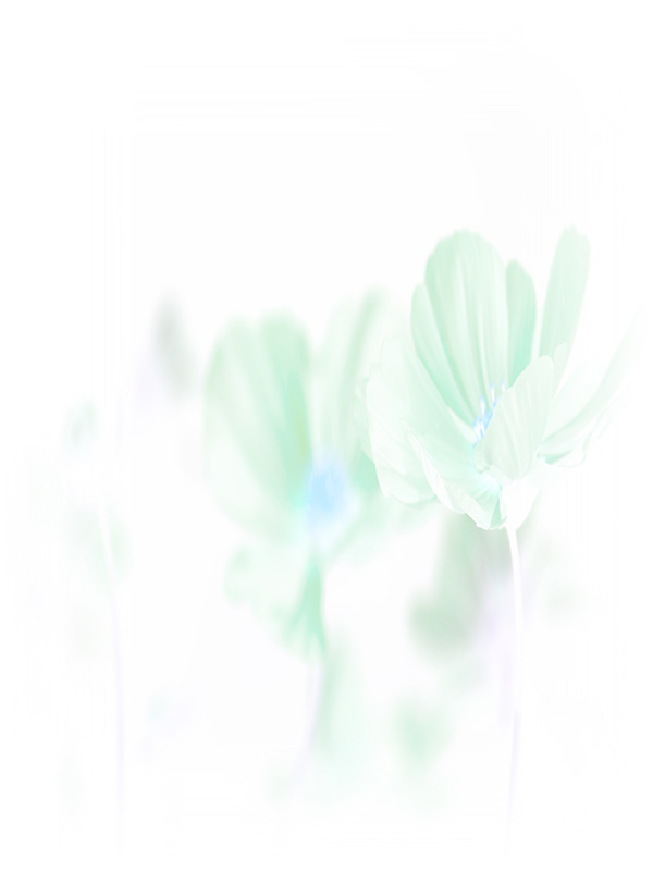 Law of Attraction Card - Image 3