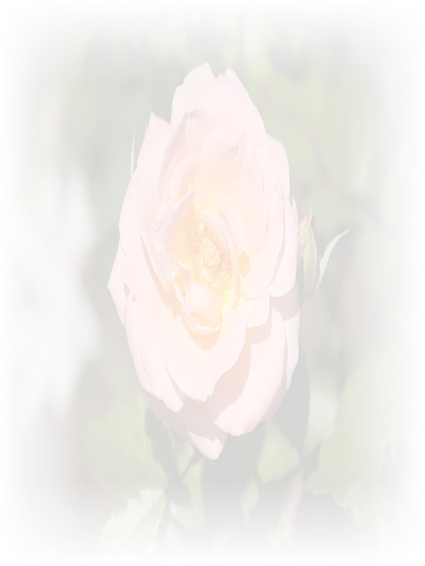 Law of Attraction Card - Image 3