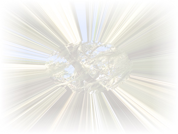 Law of Attraction Card - Image 3