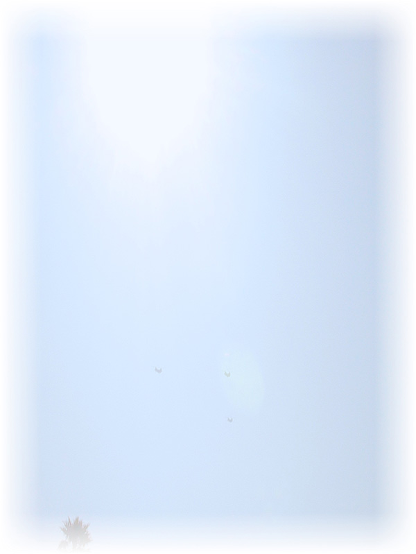 Law of Attraction Card - Image 3
