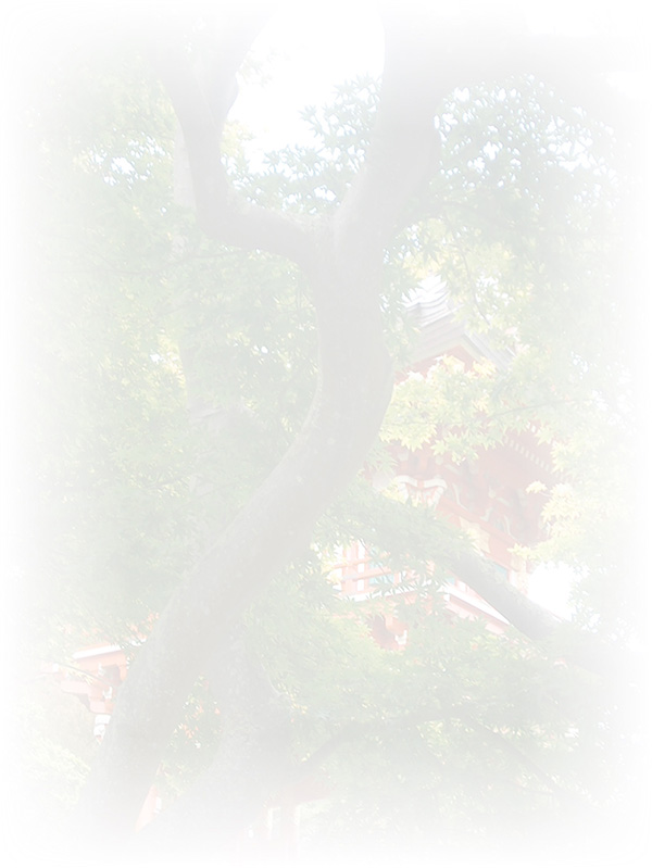 Law of Attraction Card - Image 3