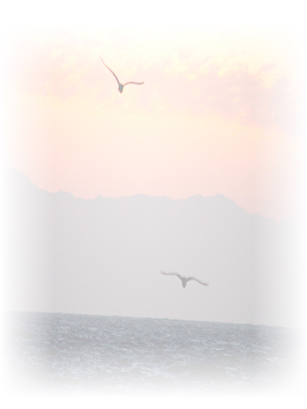 Law of Attraction Card - Image 3