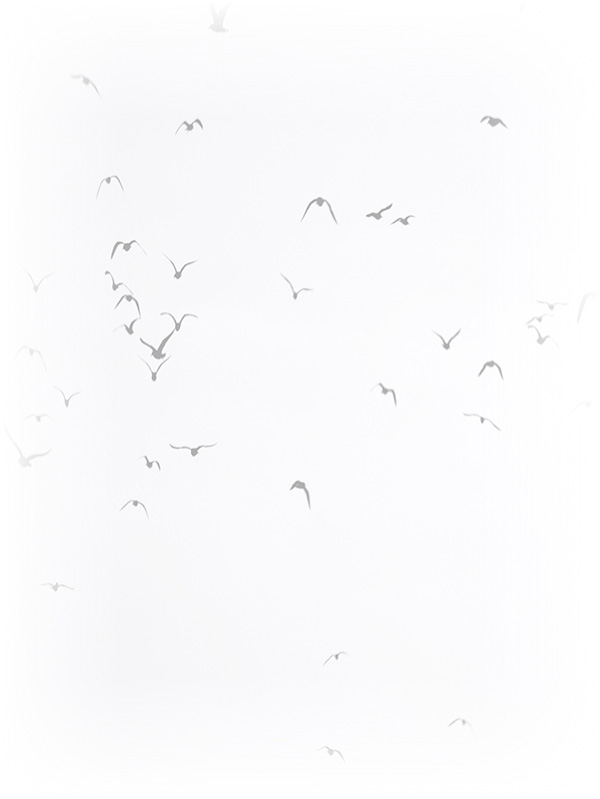 Law of Attraction Card - Image 3