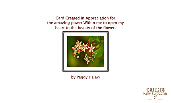 Law of Attraction Card - Image 2