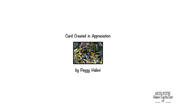 Law of Attraction Card - Image 2
