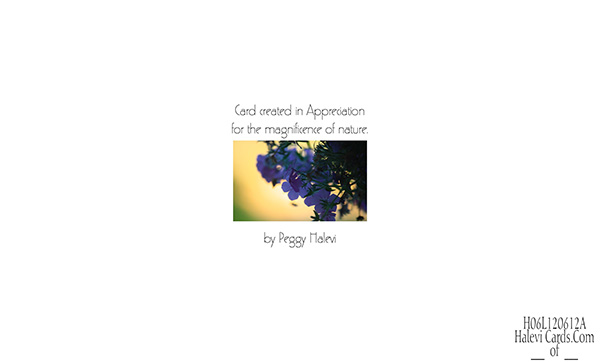 Law of Attraction Card - Image 2