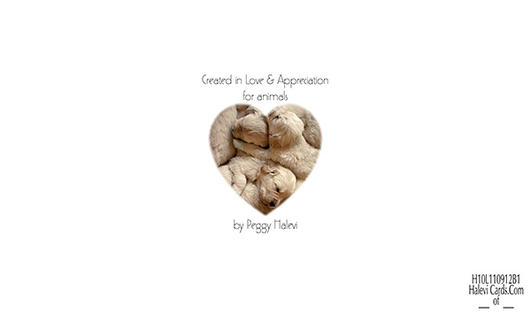 Law of Attraction Card - Image 2