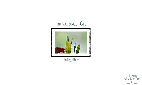 Law of Attraction Card - Image 2