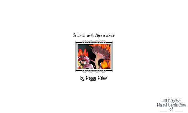 Law of Attraction Card - Image 2