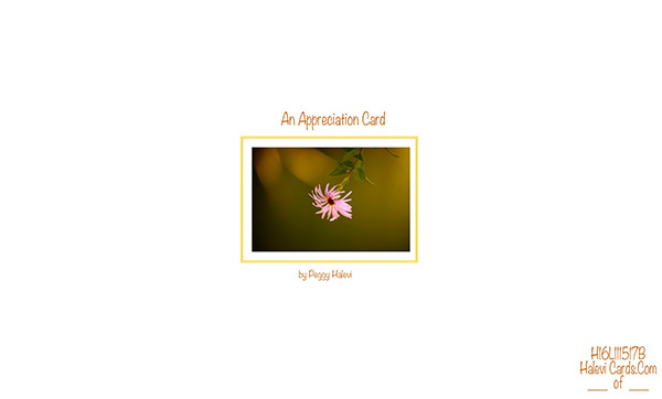 Law of Attraction Card - Image 2
