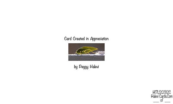 Law of Attraction Card - Image 2