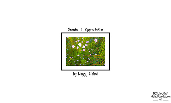 Law of Attraction Card - Image 2