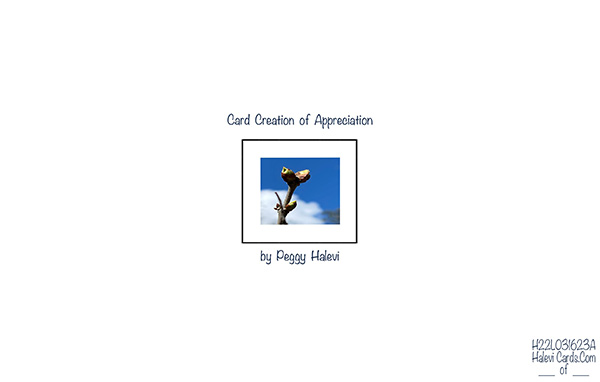 Law of Attraction Card - Image 2