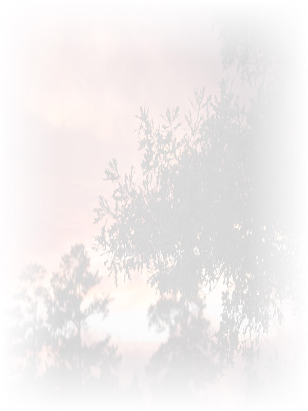 Law of Attraction Card - Image 3