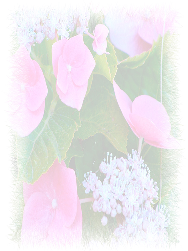 Law of Attraction Card - Image 3