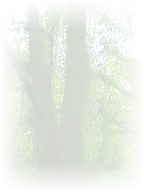 Law of Attraction Card - Image 3