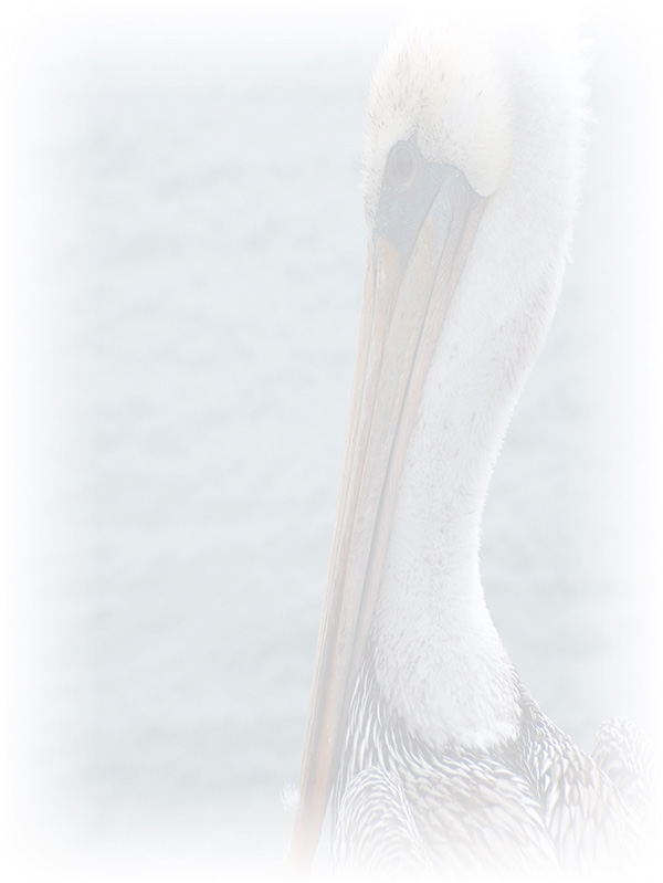 Law of Attraction Card - Image 3