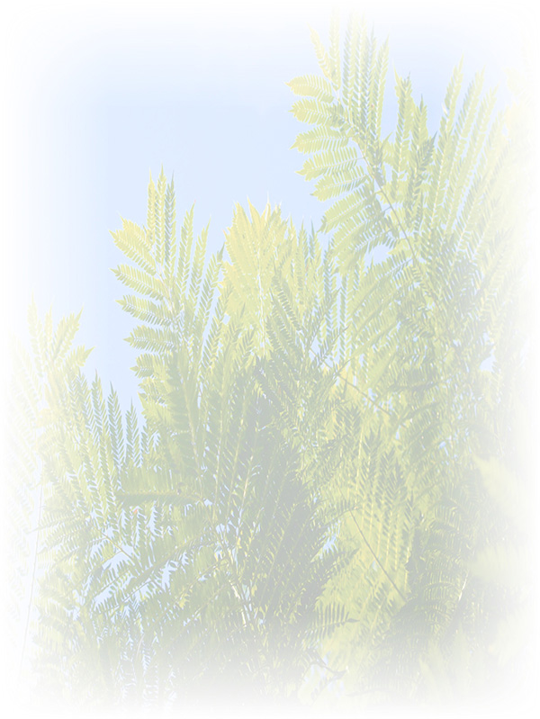 Law of Attraction Card - Image 3