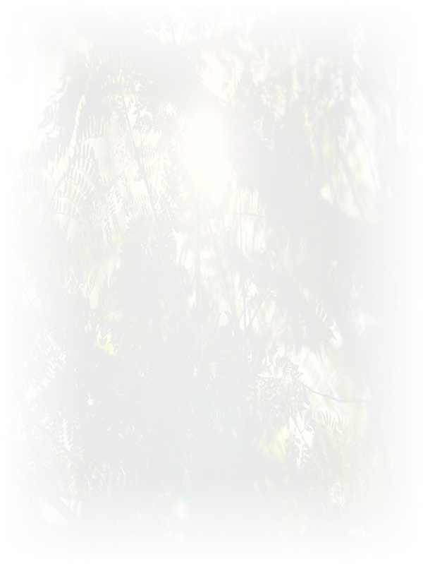 Law of Attraction Card - Image 3