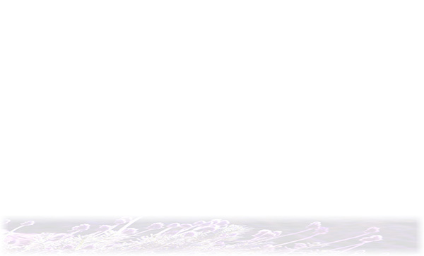 Law of Attraction Card - Image 3