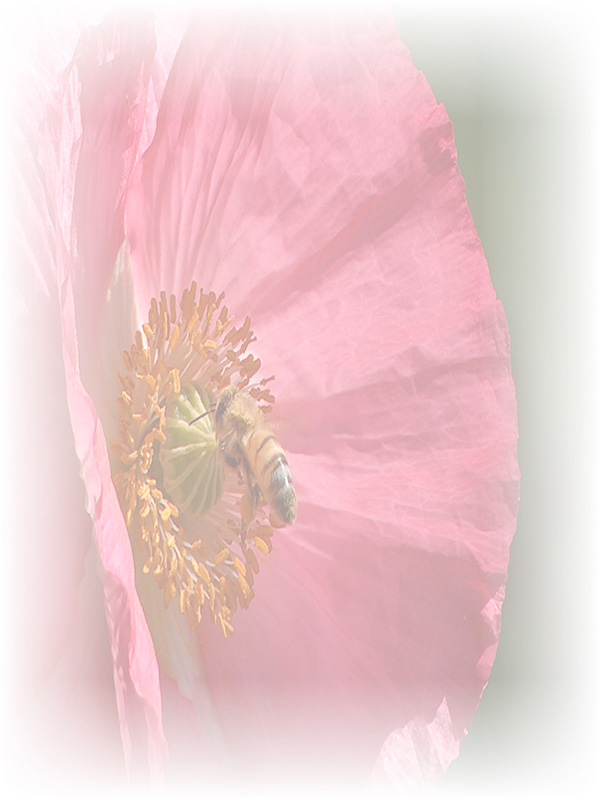 Law of Attraction Card - Image 3
