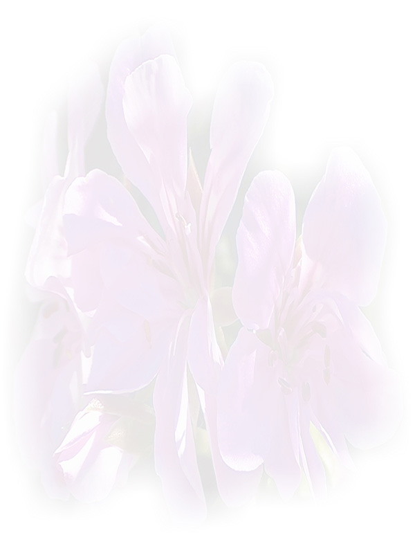 Law of Attraction Card - Image 3
