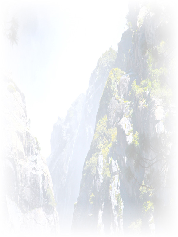 Law of Attraction Card - Image 3