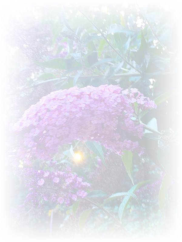 Law of Attraction Card - Image 3