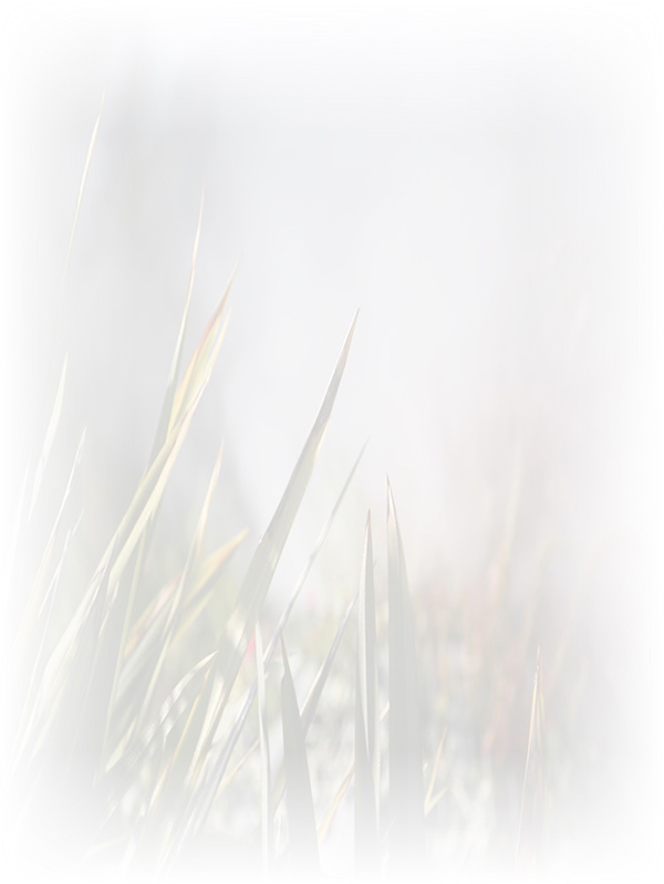 Law of Attraction Card - Image 3