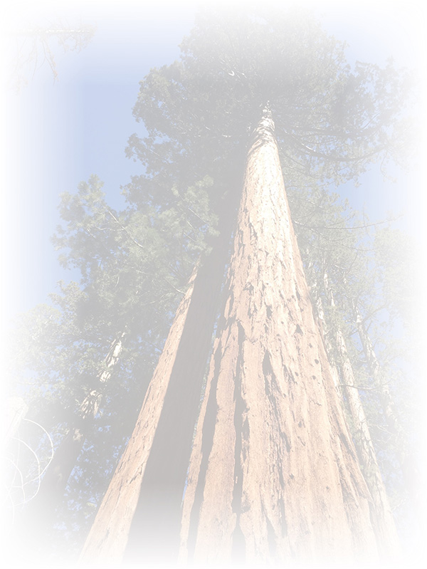 Law of Attraction Card - Image 3