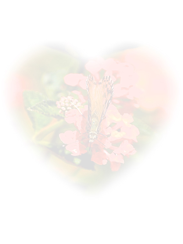 Law of Attraction Card - Image 3