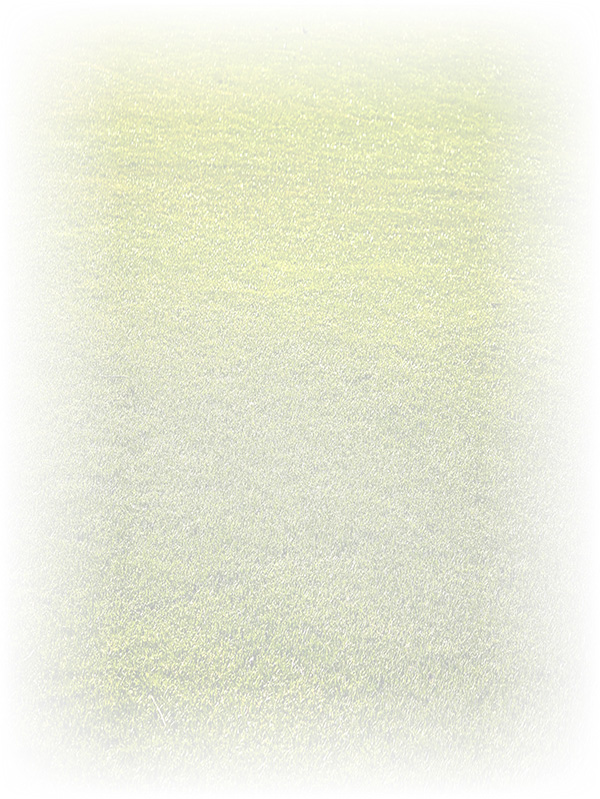 Law of Attraction Card - Image 3