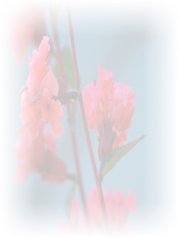 Law of Attraction Card - Image 3