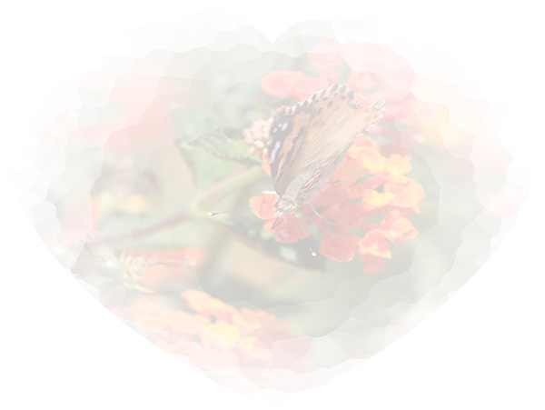 Law of Attraction Card - Image 3
