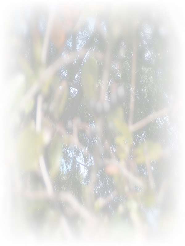 Law of Attraction Card - Image 3