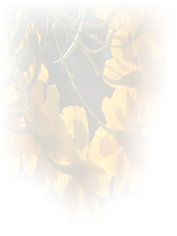 Law of Attraction Card - Image 3