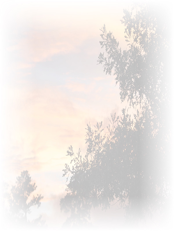 Law of Attraction Card - Image 3
