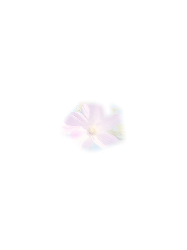 Law of Attraction Card - Image 3