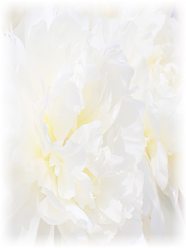 Law of Attraction Card - Image 3