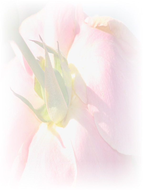 Law of Attraction Card - Image 3