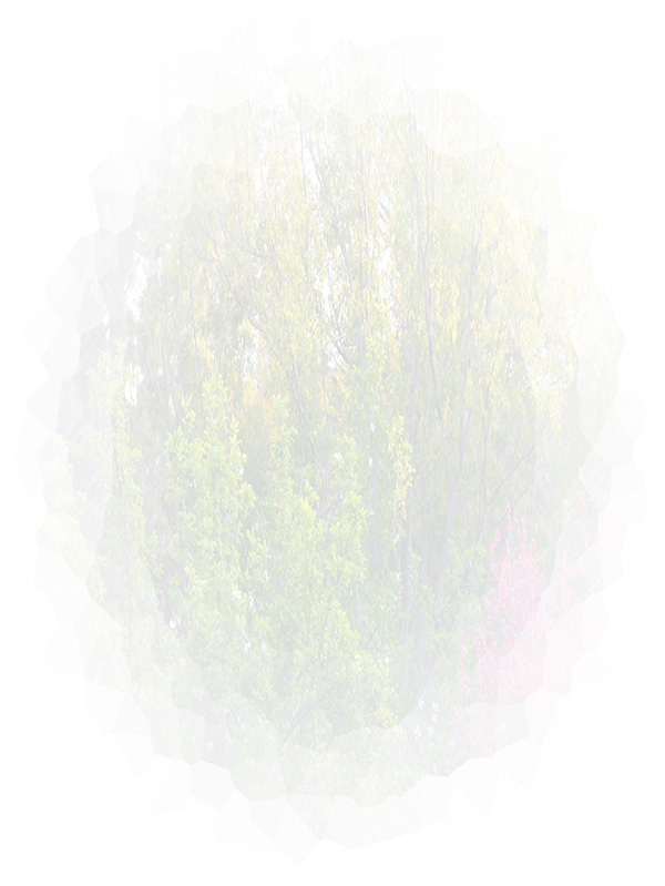 Law of Attraction Card - Image 3