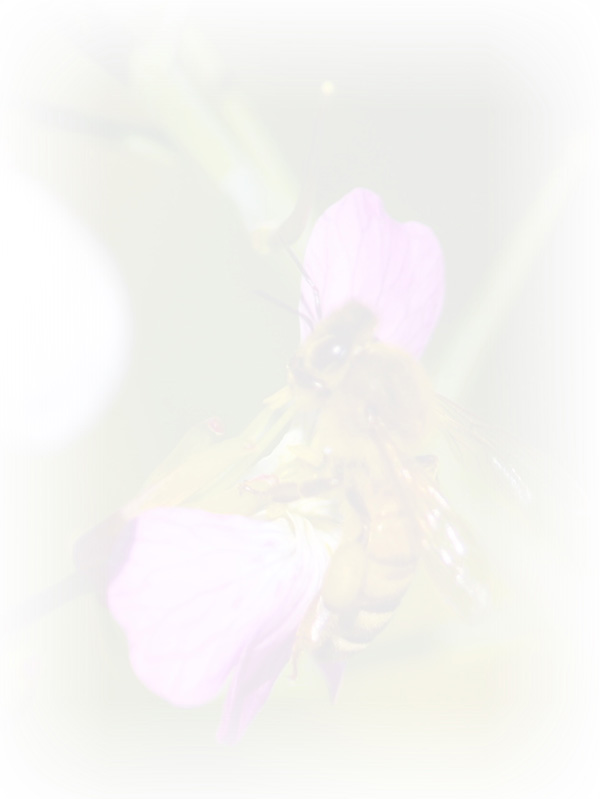 Law of Attraction Card - Image 3