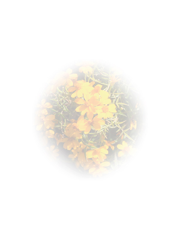 Law of Attraction Card - Image 3