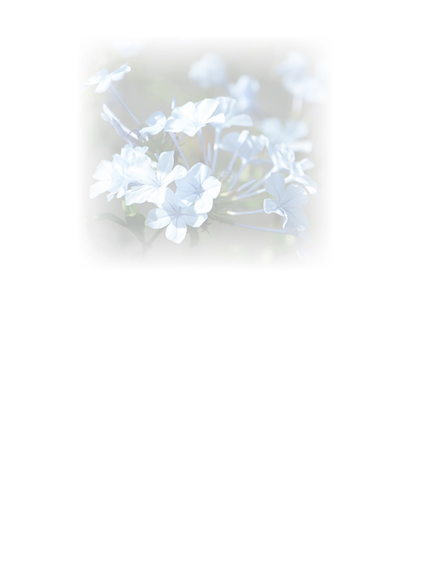 Law of Attraction Card - Image 3