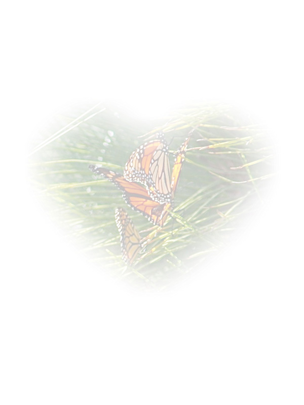 Law of Attraction Card - Image 3