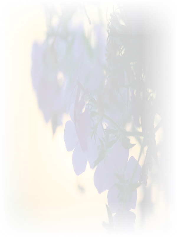 Law of Attraction Card - Image 3