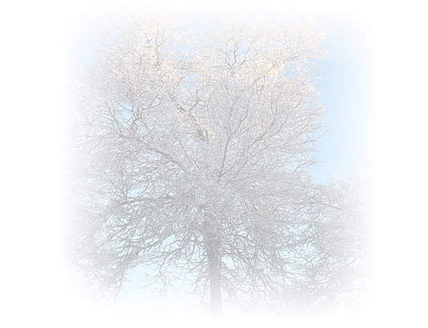 Law of Attraction Card - Image 3