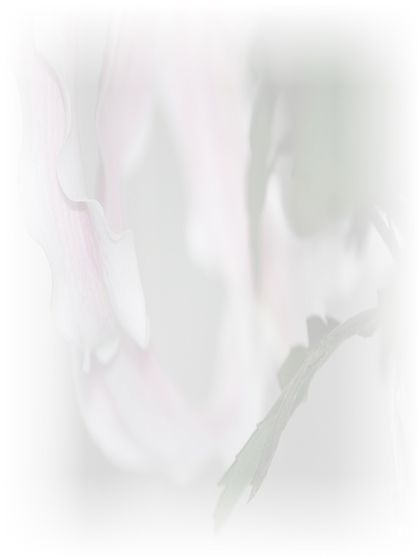 Law of Attraction Card - Image 3