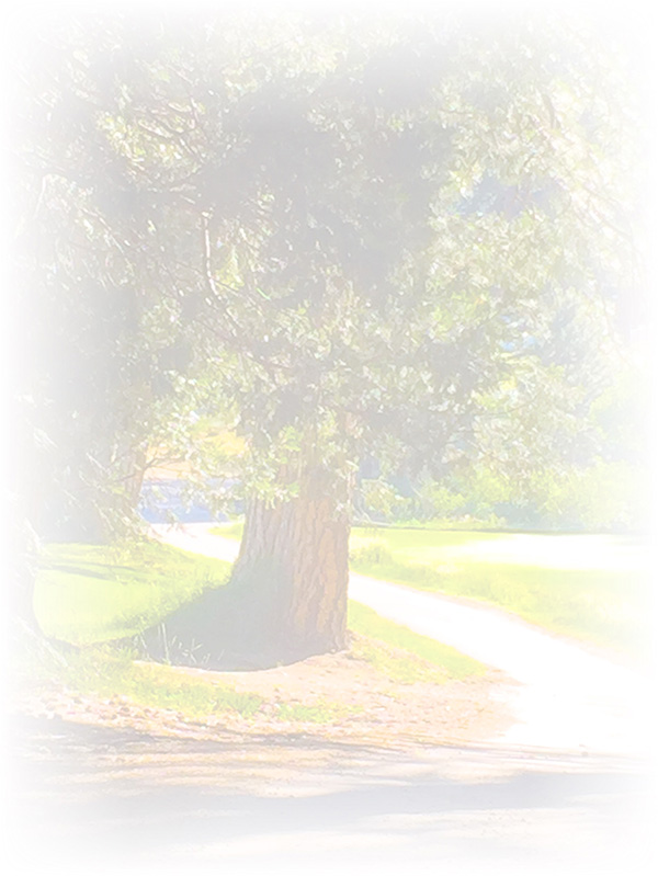 Law of Attraction Card - Image 3